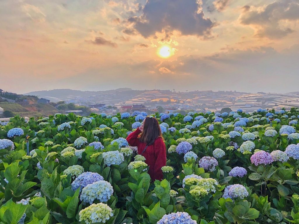 Tìm hiểu với hơn 97 hình nền đà lạt đẹp tuyệt vời nhất - thdonghoadian
